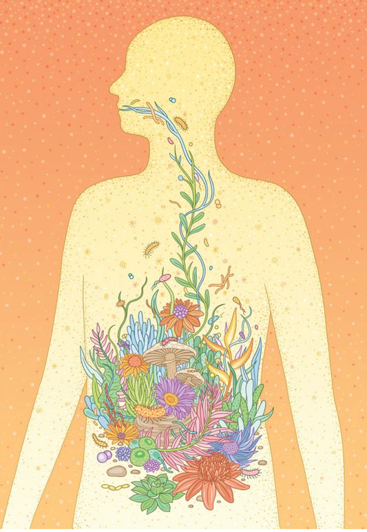 The Gut, the Microbiome & Kombucha