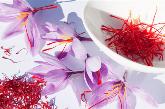 Saffron - The world’s most expensive spice