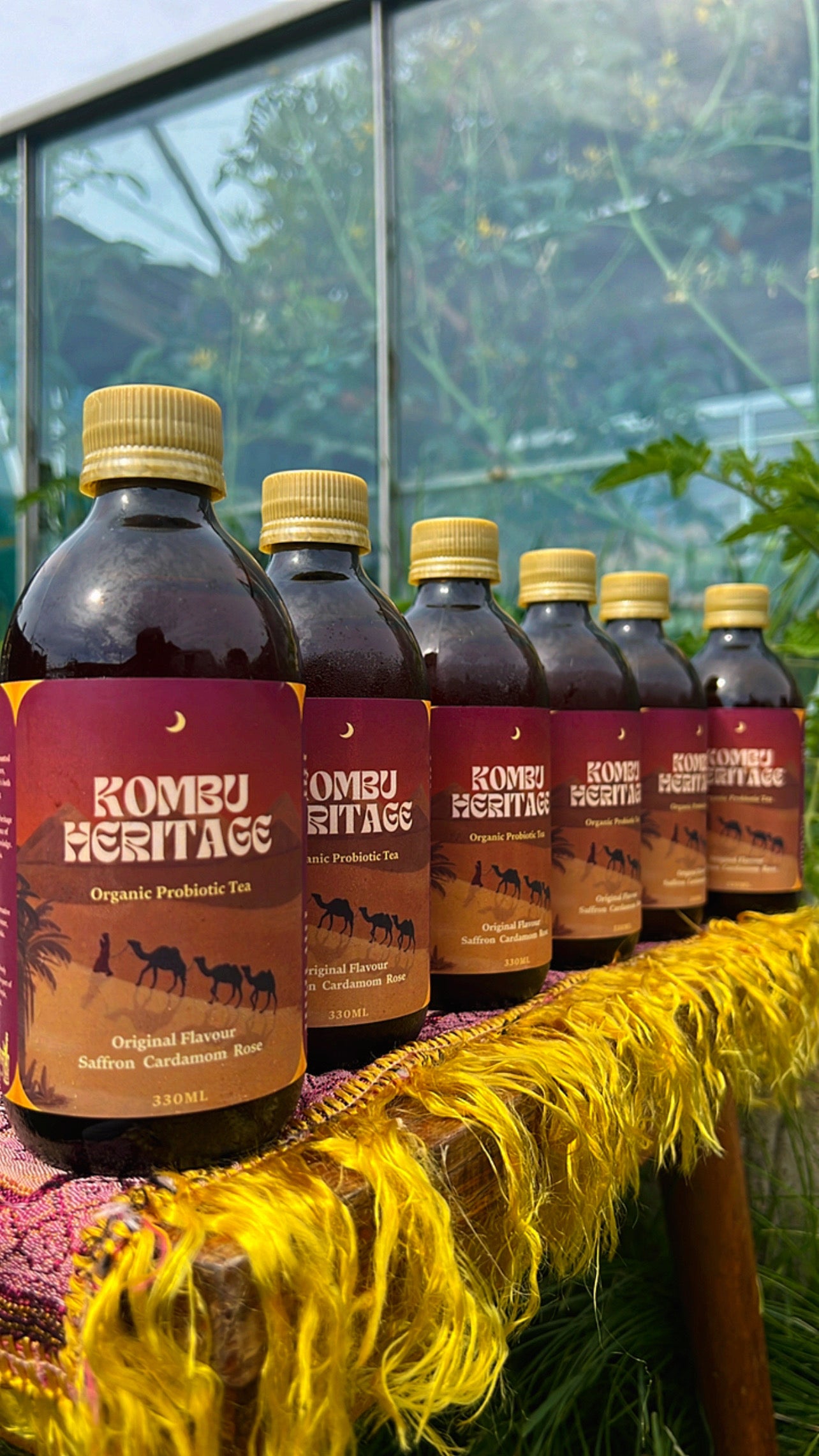 Five brown bottles of Effervescent Explorer 24X by KombuHeritage are neatly lined up on a wooden surface with yellow fringed fabric. The labels, featuring maroon backgrounds with golden text and images of camels, beckon the Effervescent Explorer to discover diverse flavors. Green plants and a glass window complete the scene.