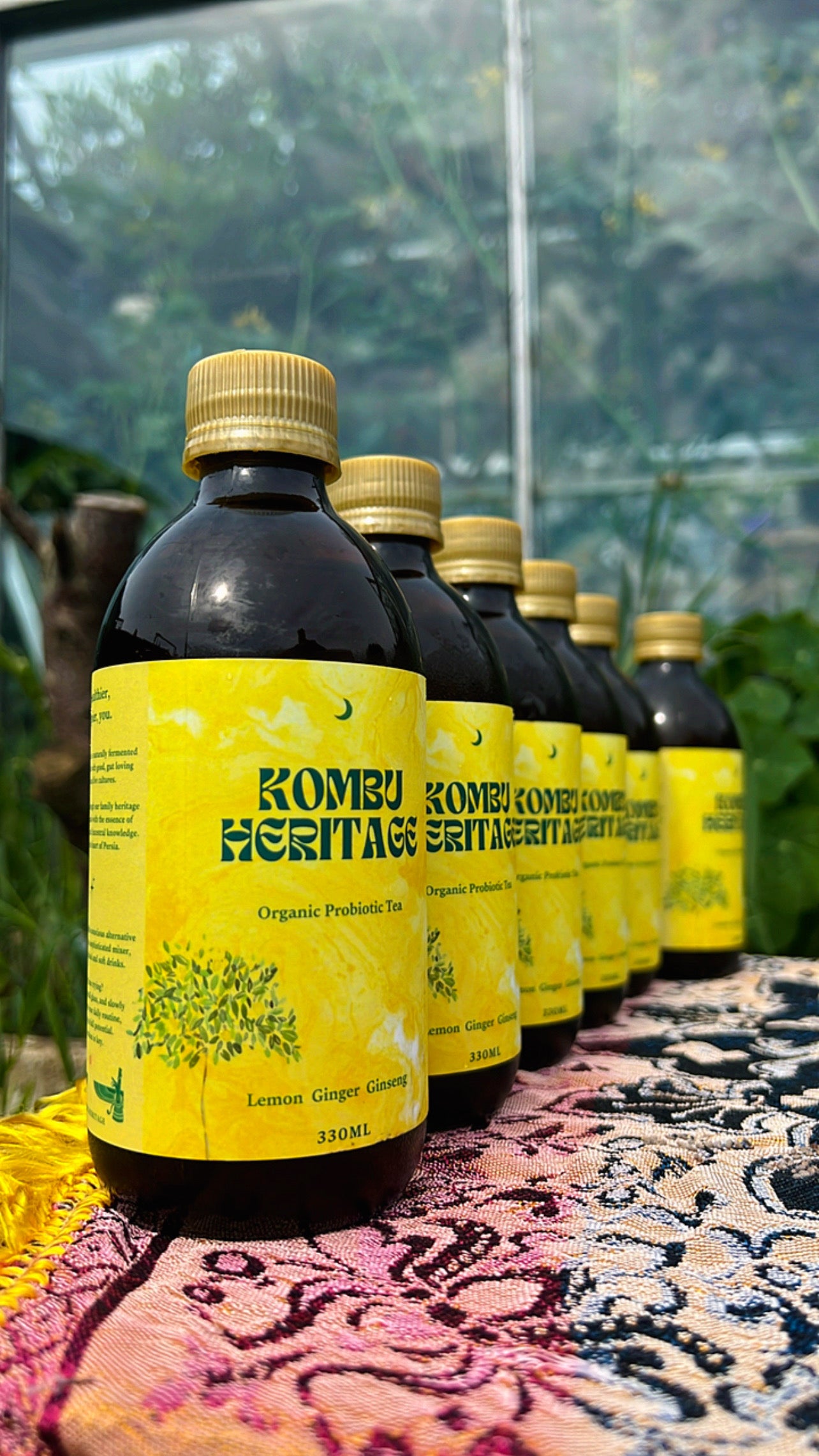 Six brown bottles with yellow labels and golden caps are arranged in a row on a patterned cloth. The labels read "KombuHeritage Effervescent Explorer 24X, Lemon Ginger Ginseng, 330ml." Green foliage and a glass greenhouse can be seen in the background, highlighting the varied flavors of this Kombucha collection.